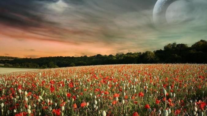 为什么美军&ldquo;好像&rdquo;不怕泄密？